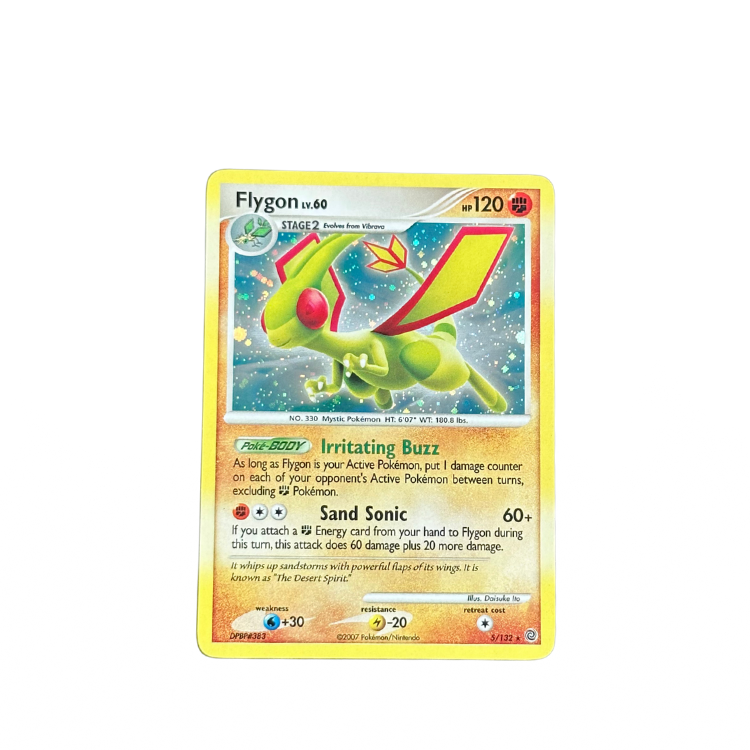 Flygon #5